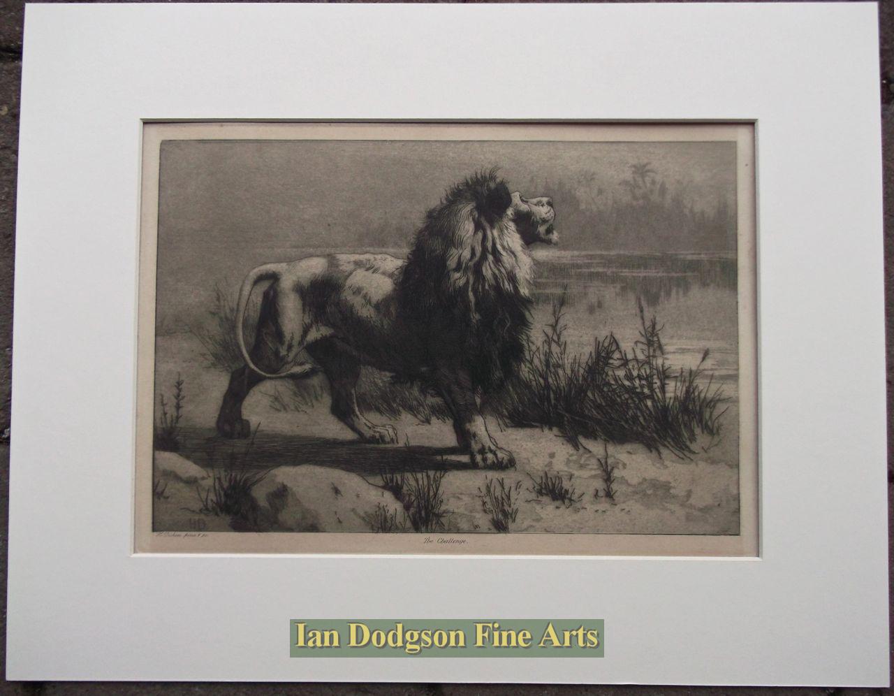 The Challenge by Herbert Dicksee