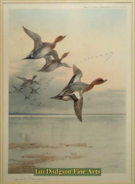 Archibald Thorburn - Wigeon over an estuary Signed Print (1922)
