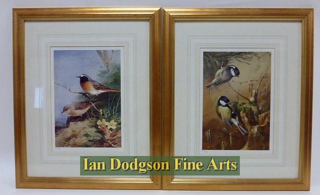 Archibald Thorburn - Black Redstart & Coal & Great Tit Limited edition print (c1990)