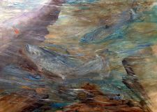 River Trout by   brassey
