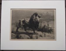 'Herbert Dicksee RA, RE, - The Challenge