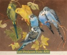 Budgerigars by Winifred Austen
