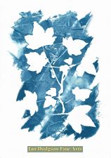 Ivy by Gill Hughes