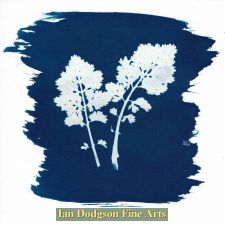 woodland plants by Gill Hughes