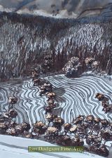 Hayfield under Briachmelyn Woods by Jeremy Cullimore