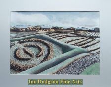 Hayfield on Llanddwyn by Jeremy Cullimore