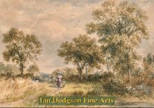 The corner of a Wheatfield,  Conwy by John Steeple