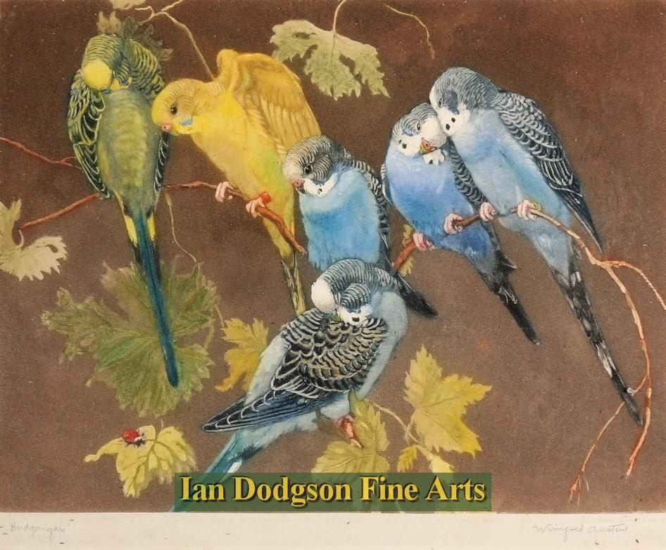 Budgerigars by Winifred Austen