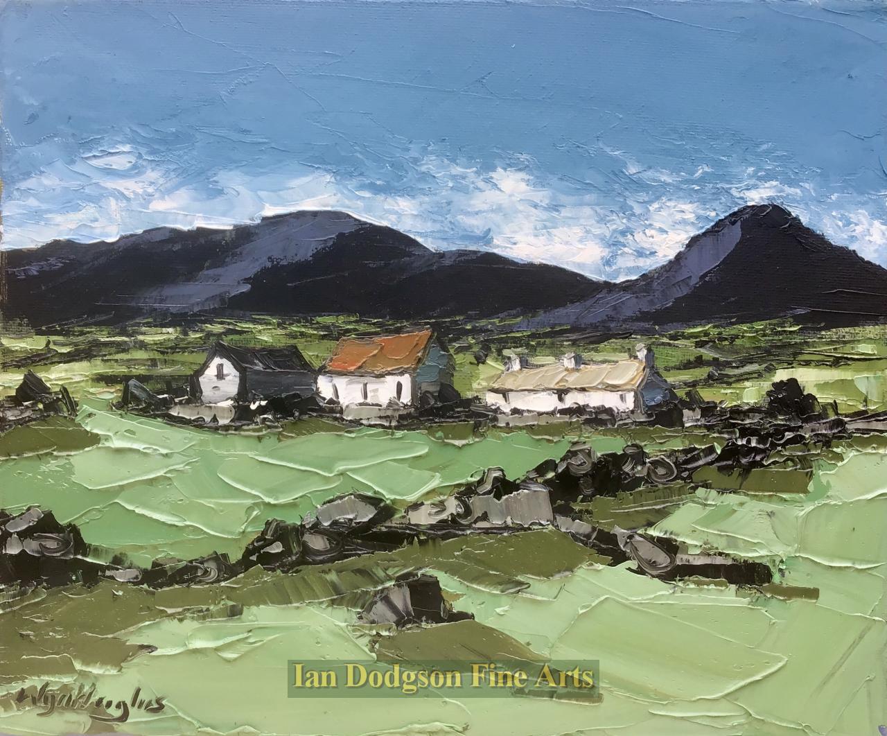 Fron, Gwynedd by Wyn Hughes 