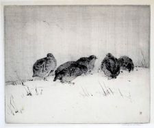 A covy of Partridge by Winifred Austen